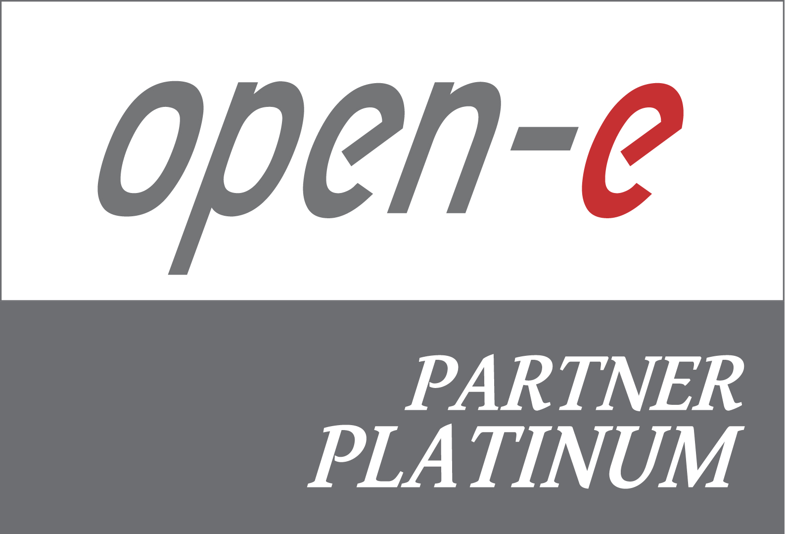 Open-E Platinum Partner