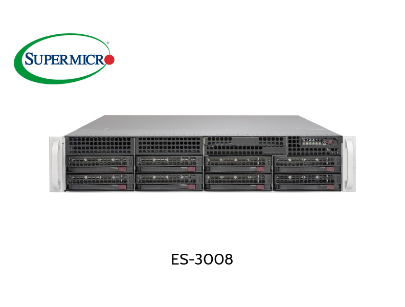 EUROstor 2U server with 8 x 3.5" slots