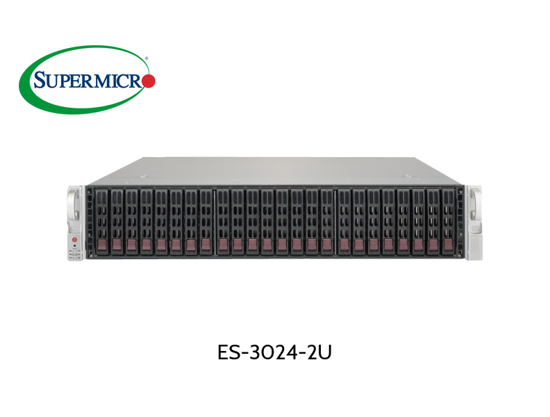 EUROstor 2HE Server mit 24 x 2.5" Slots