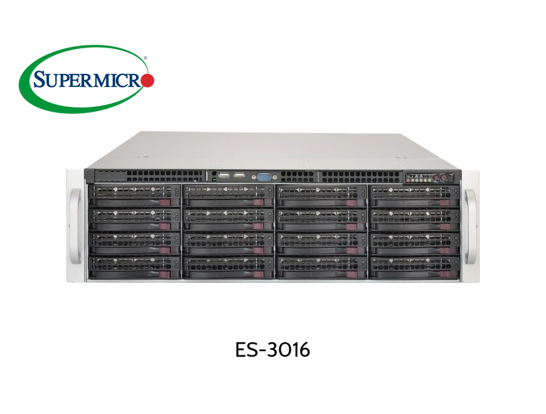 EUROstor 3HE Server mit 16 x 3.5" Slots